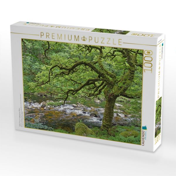 Produktbild: CALVENDO Puzzle Wilder Fluss in &uuml;ppig gr&uuml;ner Natur | 1000 Teile Lege-Gr&ouml;&szlig;e 64x48cm Foto-Puzzle f&uuml;r gl&uuml;ckliche Stunden