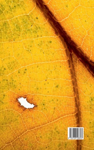 Produktbild: Haiku - Lichtblicke
