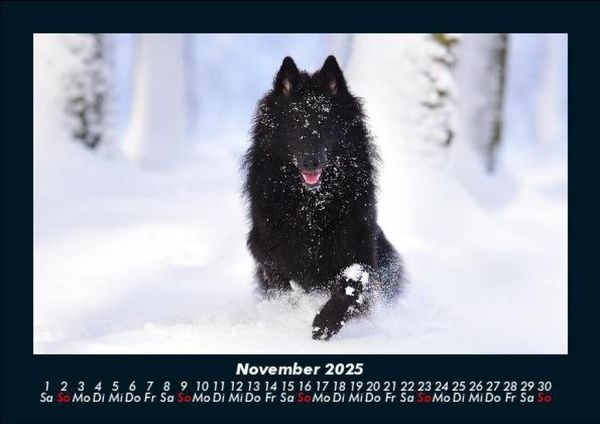 Produktbild: Hundezauber 2025 Fotokalender DIN A5