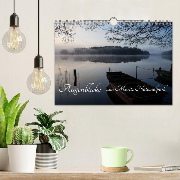Produktbild: Augenblicke im M&uuml;ritz Nationalpark (Wandkalender 2026 DIN A4 quer), CALVENDO Monatskalender