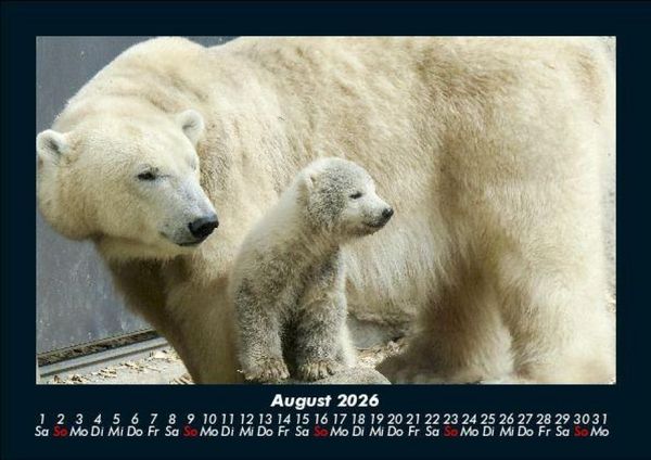 Produktbild: Tierkalender 2026 Fotokalender DIN A5