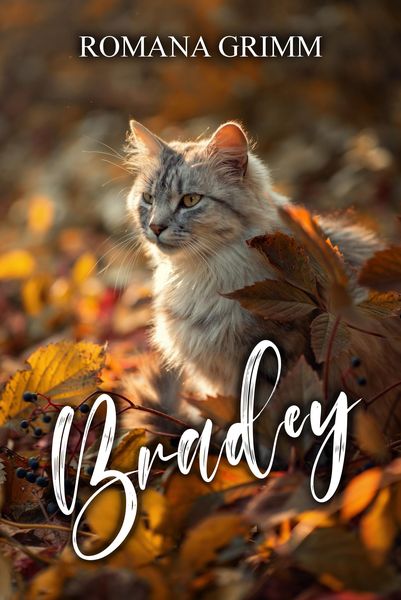 Produktbild: Bradey
