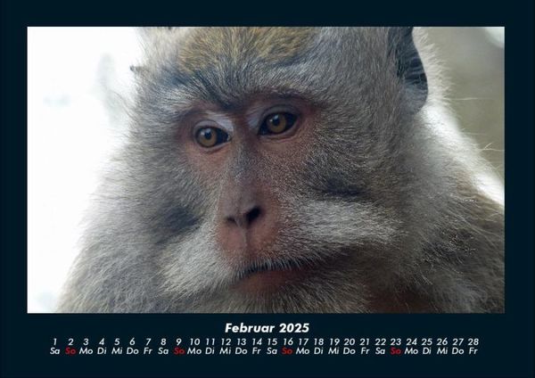 Produktbild: Indonesien 2025 Fotokalender DIN A4