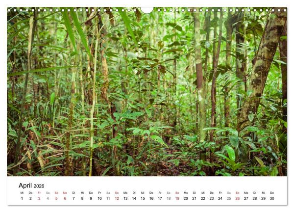 Produktbild: Mythos Amazonas - Naturparadies Brasiliens (Wandkalender 2026 DIN A3 quer), CALVENDO Monatskalender