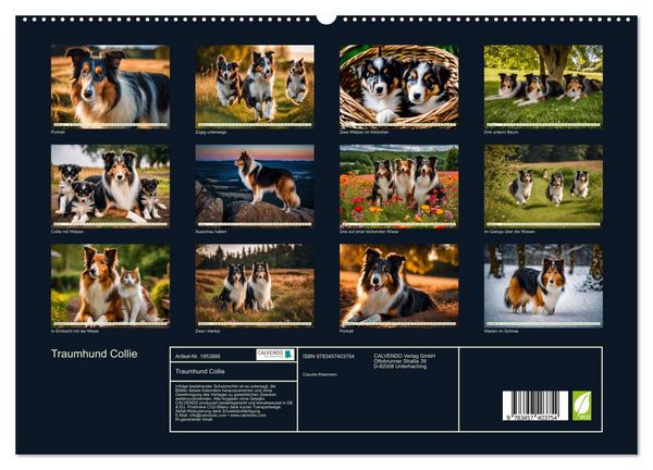 Produktbild: Traumhund Collie (hochwertiger Premium Wandkalender 2026 DIN A2 quer), Kunstdruck in Hochglanz