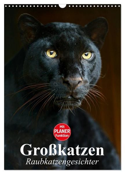 Produktbild: Gro&szlig;katzen. Raubkatzengesichter (Wandkalender 2026 DIN A3 hoch), CALVENDO Monatskalender