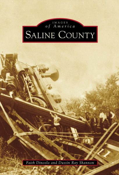 Produktbild: Saline County