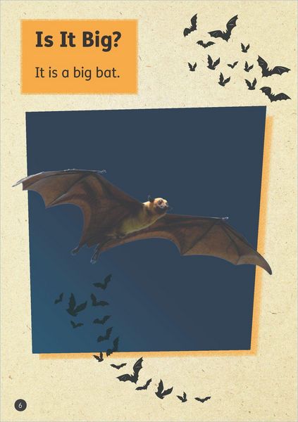 Produktbild: Set 02 - Bat