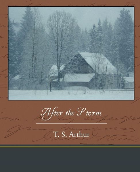 Produktbild: After the Storm