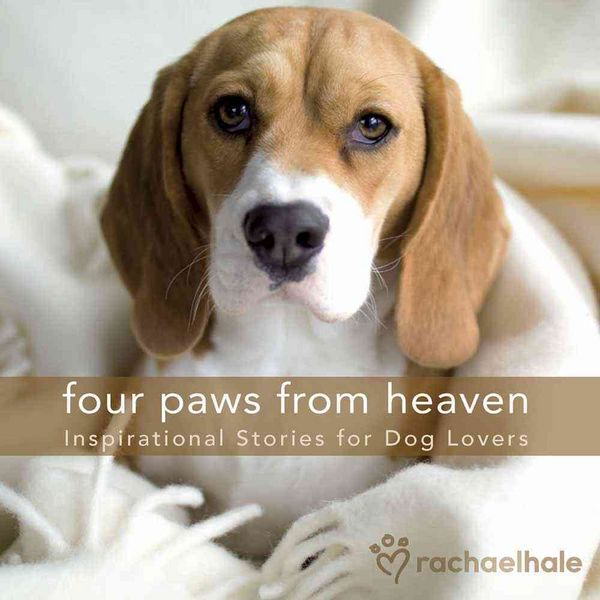 Produktbild: 4 Paws from Heaven Gift /e Gif