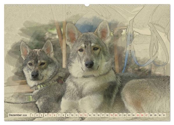 Produktbild: Schlittenhunde 2026 (Wandkalender 2026 DIN A2 quer), CALVENDO Monatskalender