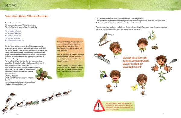 Produktbild: Erlebe den Wald mit allen Sinnen