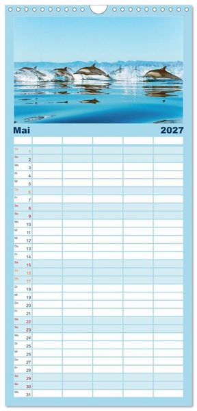 Produktbild: Familienplaner 2027 - Delfine: Elegante Wellenreiter mit 5 Spalten (Wandkalender, 21 x 45 cm) CALVENDO