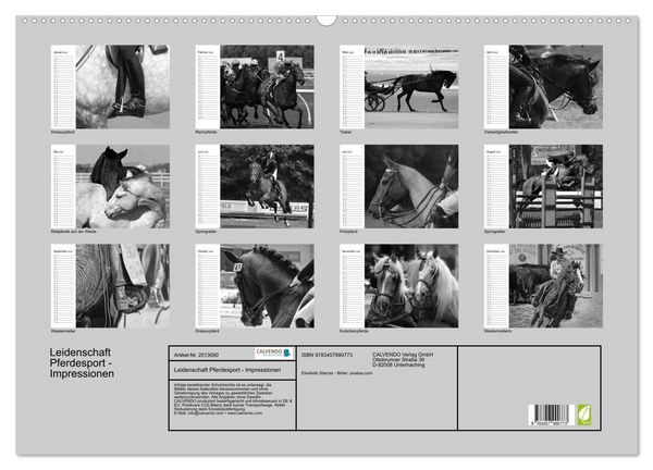 Produktbild: Leidenschaft Pferdesport - Impressionen (Wandkalender 2026 DIN A2 quer), CALVENDO Monatskalender