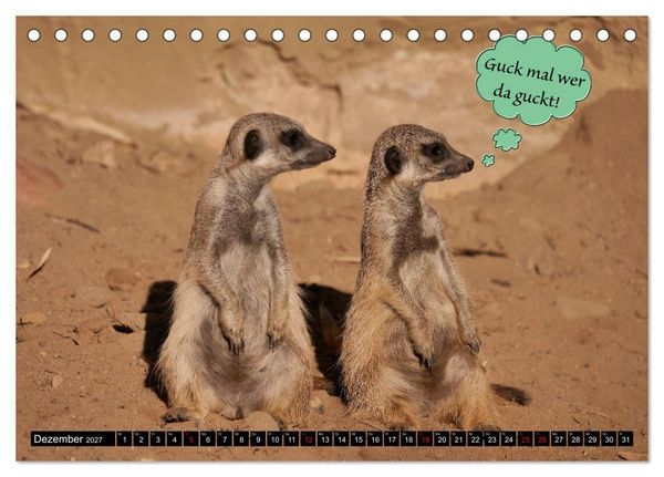 Produktbild: Wenn Tiere sprechen k&ouml;nnten! Der lustige Spr&uuml;che Kalender (Tischkalender 2027 DIN A5 quer), CALVENDO Monatskalender