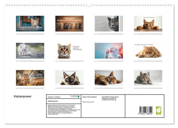 Produktbild: Katzenpower (hochwertiger Premium Wandkalender 2026 DIN A2 quer), Kunstdruck in Hochglanz