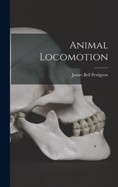 Produktbild: Animal Locomotion