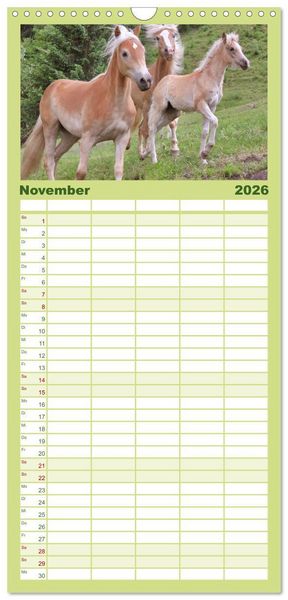 Produktbild: Familienplaner 2026 - Alpenpferde mit 5 Spalten (Wandkalender, 21 x 45 cm) CALVENDO