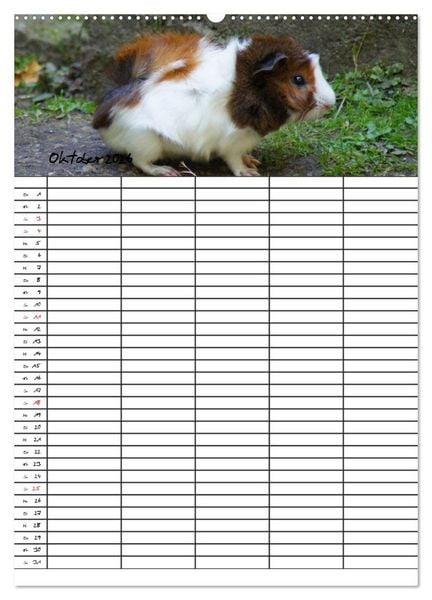 Produktbild: Meerschweinchen und Kaninchen Familienplaner (hochwertiger Premium Wandkalender 2026 DIN A2 hoch), Kunstdruck in Hochglanz