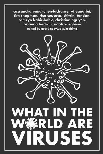 Produktbild: What in the World are Viruses