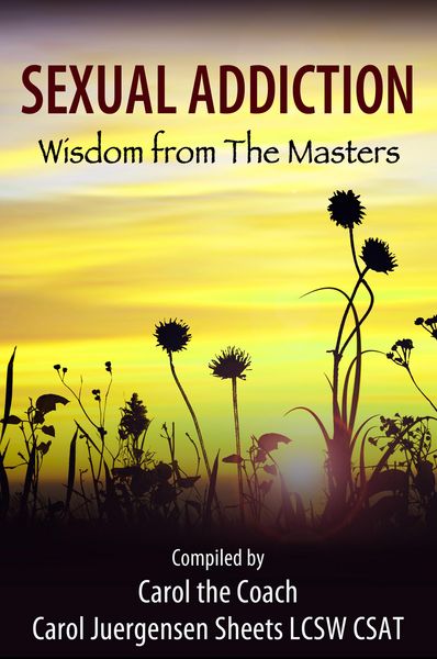 Produktbild: Sexual Addiction: Wisdom from The Masters