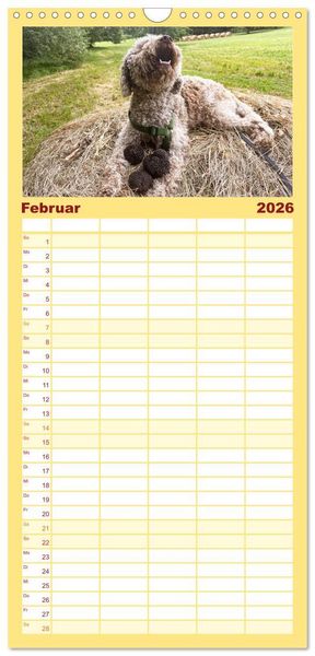 Produktbild: Familienplaner 2026 - Franz&ouml;sische Tr&uuml;ffelwelten mit 5 Spalten (Wandkalender, 21 x 45 cm) CALVENDO