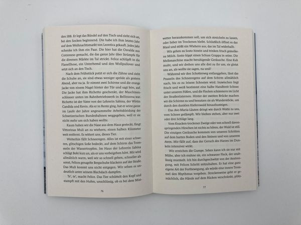 Produktbild: Tage mit Felice