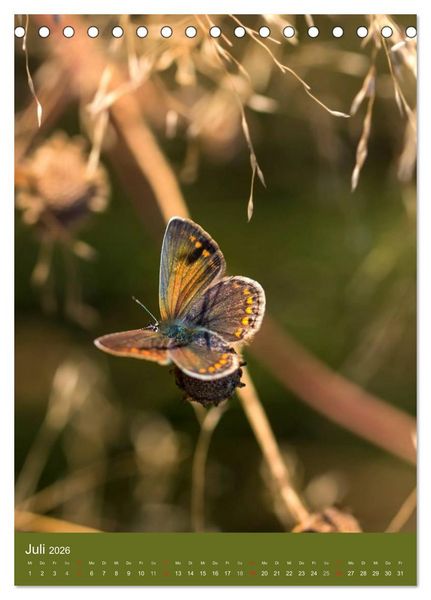 Produktbild: Natur-Romantik (Tischkalender 2026 DIN A5 hoch), CALVENDO Monatskalender