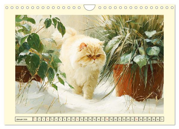 Produktbild: Perserkatzen. Flauschige Momente in kunstvoller &Ouml;loptik (Wandkalender 2026 DIN A4 quer), CALVENDO Monatskalender