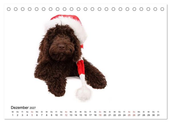 Produktbild: Funny Dogs (Tischkalender 2027 DIN A5 quer), CALVENDO Monatskalender