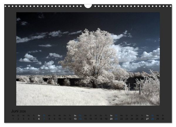 Produktbild: Surreale Landschaften. INFRARROT - Wenn gr&uuml;n zu wei&szlig; wird (Wandkalender 2026 DIN A3 quer), CALVENDO Monatskalender