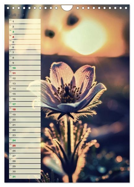 Produktbild: D&uuml;nen und Buhnen (Wandkalender 2027 DIN A4 hoch), CALVENDO Monatskalender
