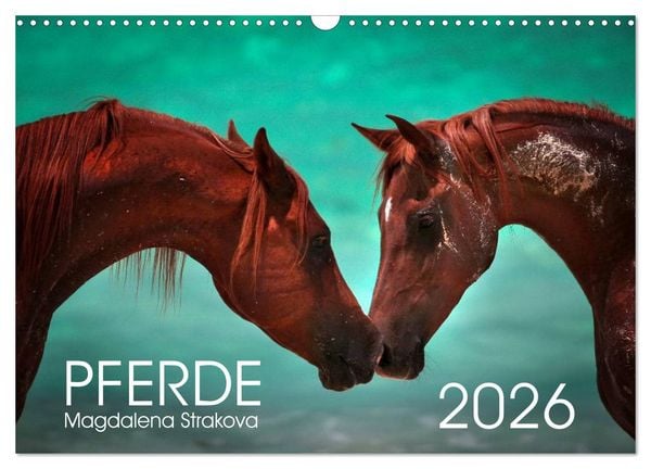 Pferde - Magdalena Strakova (Wandkalender 2026 DIN A3 quer), CALVENDO Monatskalender