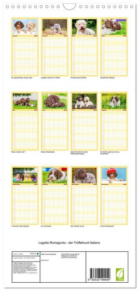 Produktbild: Familienplaner 2026 - Lagotto Romagnolo - der Tr&uuml;ffelhund Italiens mit 5 Spalten (Wandkalender, 21 x 45 cm) CALVENDO