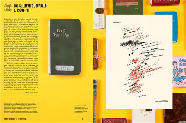 Produktbild: Trans Hirstory in 99 Objects