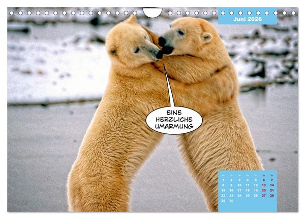 Produktbild: Lustige Eisb&auml;ren (Wandkalender 2026 DIN A4 quer), CALVENDO Monatskalender