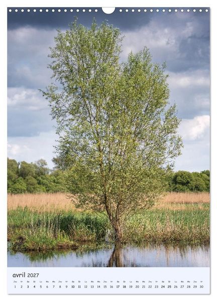 Produktbild: Arbres solitaires (Calendrier mural 2027 DIN A3 horizontal), CALVENDO calendrier mensuel
