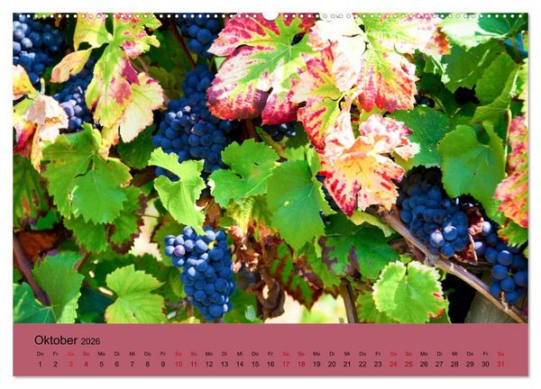 Produktbild: Die Weinsta&szlig;e im Elsass (Wandkalender 2026 DIN A2 quer), CALVENDO Monatskalender
