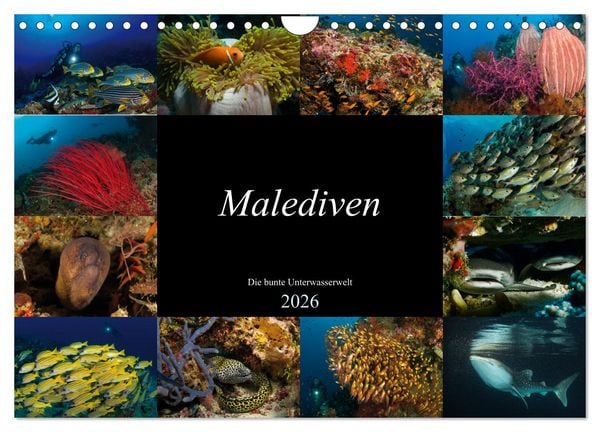 Produktbild: Malediven - Die bunte Unterwasserwelt (Wandkalender 2026 DIN A4 quer), CALVENDO Monatskalender