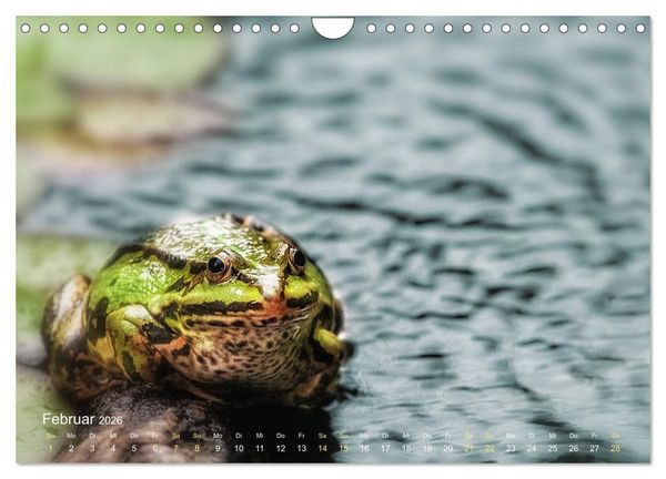 Produktbild: Fr&ouml;sche zum Verlieben (Wandkalender 2026 DIN A4 quer), CALVENDO Monatskalender