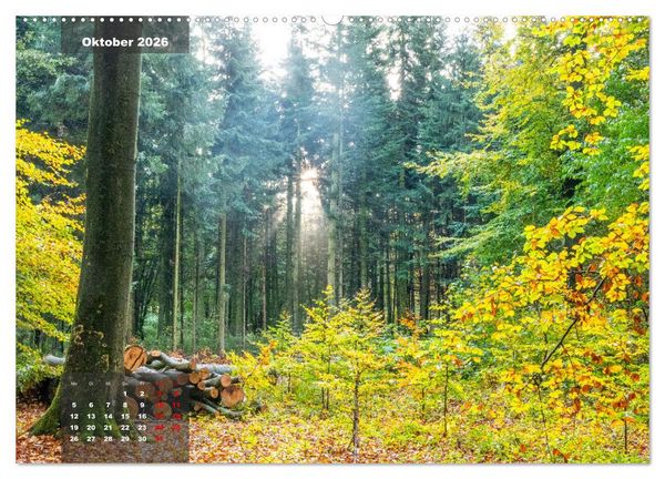 Produktbild: Ein Jahr Niederrhein Momente der Natur (Wandkalender 2026 DIN A2 quer), CALVENDO Monatskalender