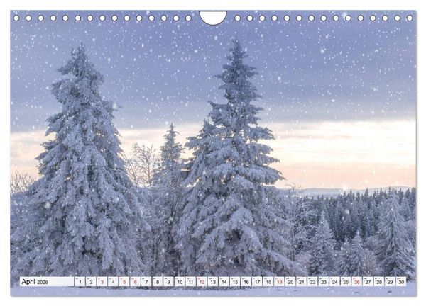 Produktbild: Eiszeit. Winter und Frost in der Natur (Wandkalender 2026 DIN A4 quer), CALVENDO Monatskalender