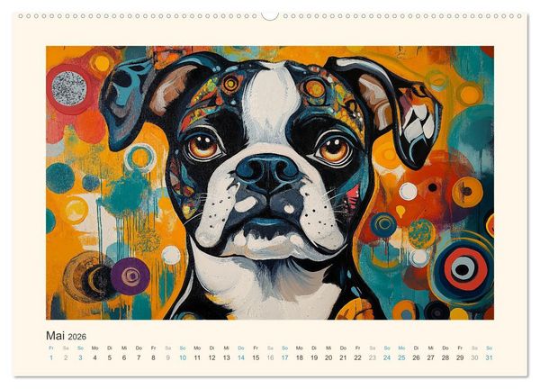 Produktbild: Bunte Boxer (Wandkalender 2026 DIN A2 quer), CALVENDO Monatskalender