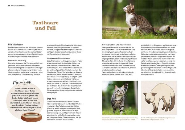 Produktbild: Katzensprache