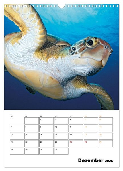Produktbild: Wunderbare Wasserwelt der Meeresschildkr&ouml;ten (Wandkalender 2026 DIN A3 hoch), CALVENDO Monatskalender
