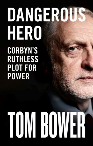 Produktbild: Bower, T: Dangerous Hero