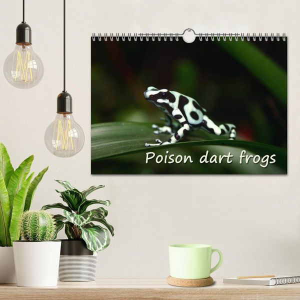 Produktbild: Poison dart frogs / UK-Version / Birthday Calendar (Wall Calendar 2026 DIN A4 landscape), CALVENDO 12 Month Wall Calendar