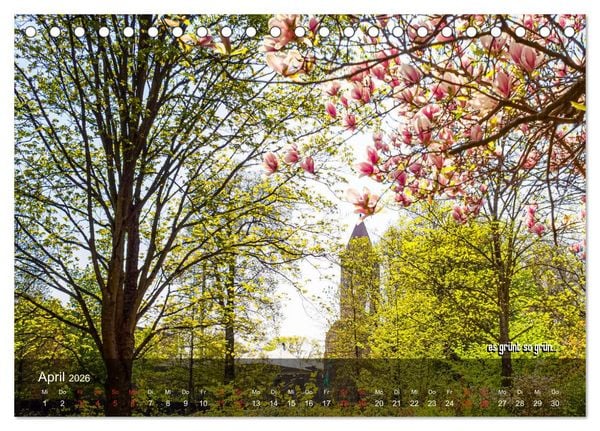 Produktbild: stiftsruine zu bad hersfeld (Tischkalender 2026 DIN A5 quer), CALVENDO Monatskalender