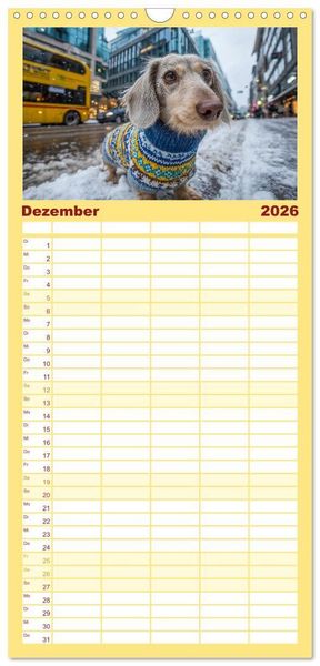 Produktbild: Familienplaner 2026 - Dackel auf gro&szlig;er Tour - S&uuml;&szlig;e Hunde entdecken die Welt mit 5 Spalten (Wandkalender, 21 x 45 cm) CALVENDO