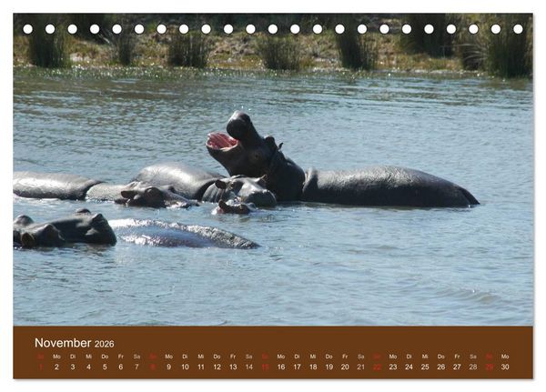 Produktbild: Namibia - faszinierende Menschen und Tiere (Tischkalender 2026 DIN A5 quer), CALVENDO Monatskalender